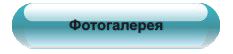 Фотогалерея